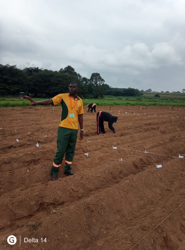 Levitikos Dembure - Research Field Work