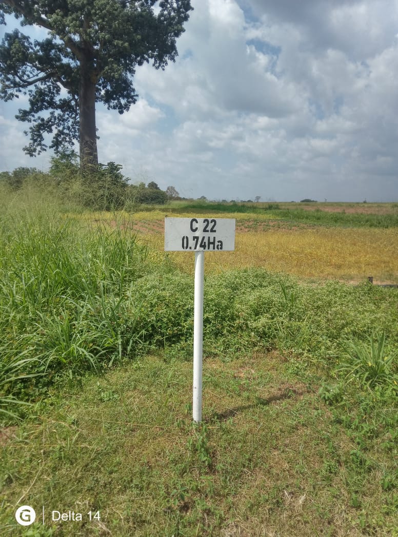 Levitikos Dembure - Research Field Work