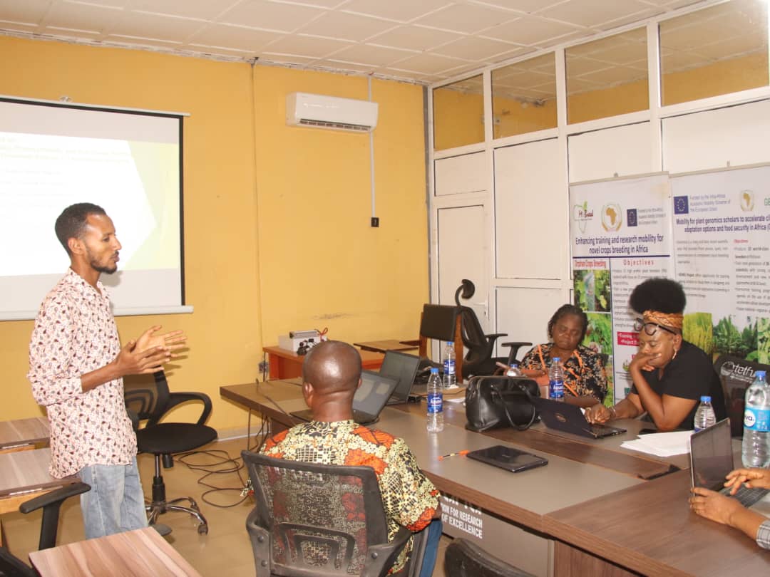 Tsegay Redae Nuguse - Gallery