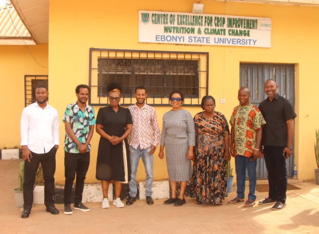 Tsegay Redae Nuguse - Gallery